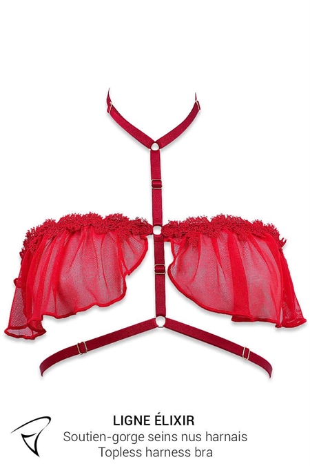 ENSEMBLE SOUTIEN-GORGE 1/2 SEINS ET HARNAIS VOILETTE