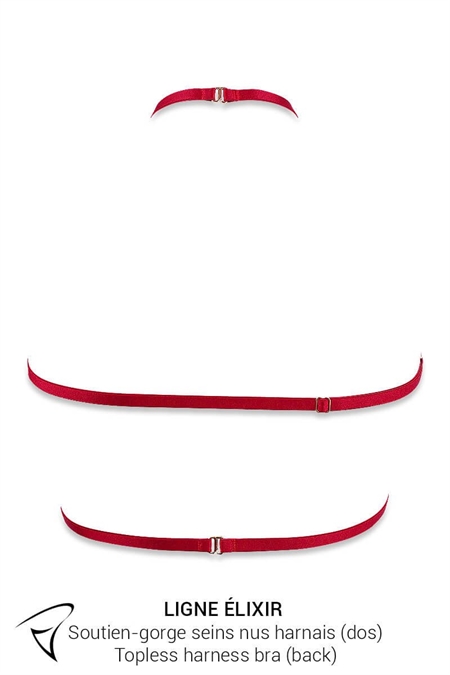 ENSEMBLE SOUTIEN-GORGE 1/2 SEINS ET HARNAIS VOILETTE