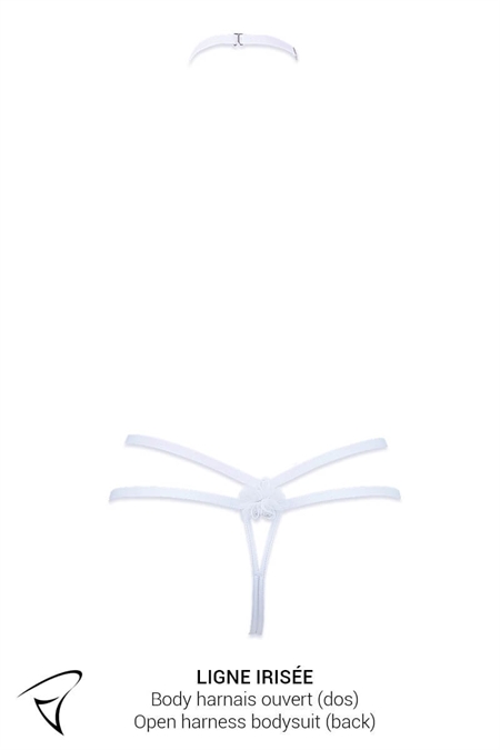 ENSEMBLE BUSTIER SEINS NUS ET BODY HARNAIS