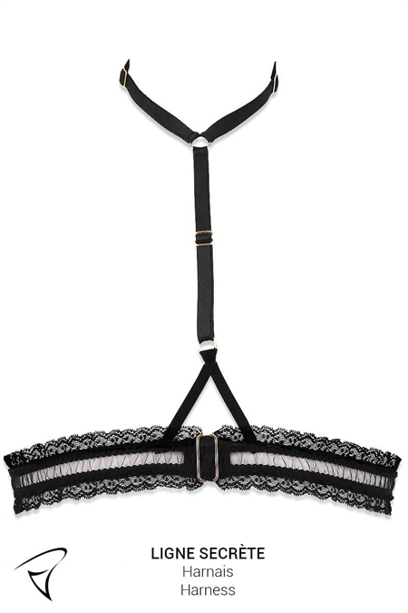 ENSEMBLE HARNAIS & STRING NU
