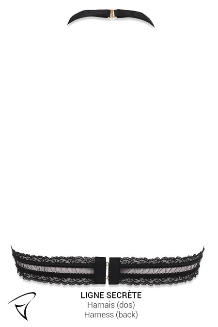 ENSEMBLE HARNAIS & STRING NU