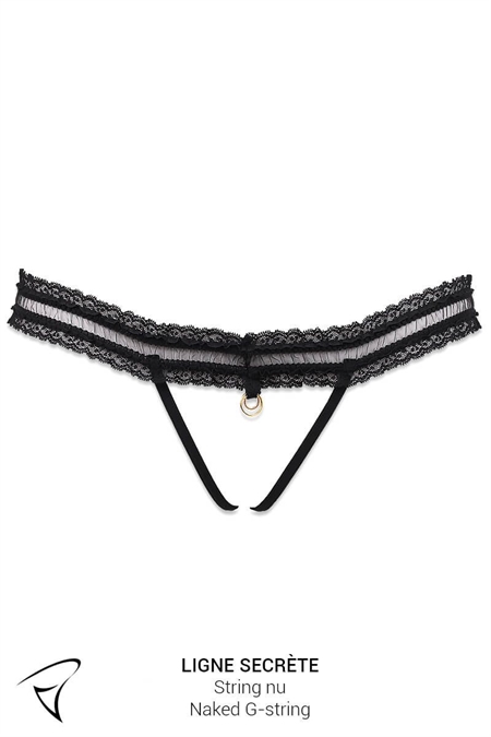 ENSEMBLE HARNAIS & STRING NU