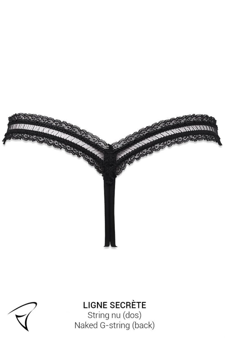 ENSEMBLE HARNAIS & STRING NU